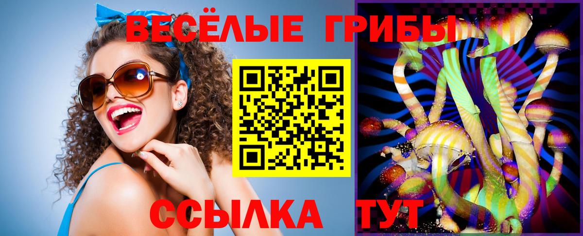 Галлюциногенные грибы Psilocybine cubensis  Вход с VPN  Псилоцибиновые грибы Magic Shrooms  Новокубанск 