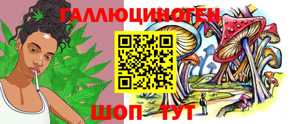 Псилоцибиновые грибы ЛСД Новокубанск
